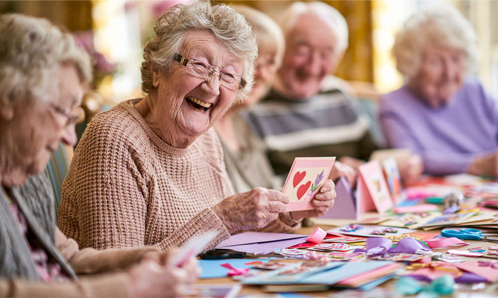 Home-companion Companionship Care